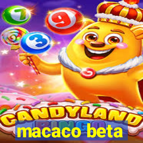 macaco beta