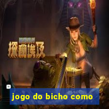 jogo do bicho como