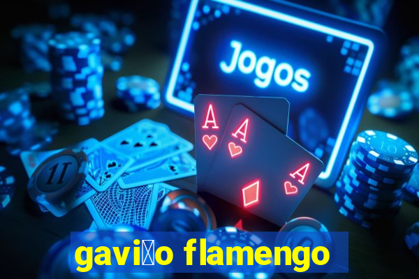 gavi茫o flamengo