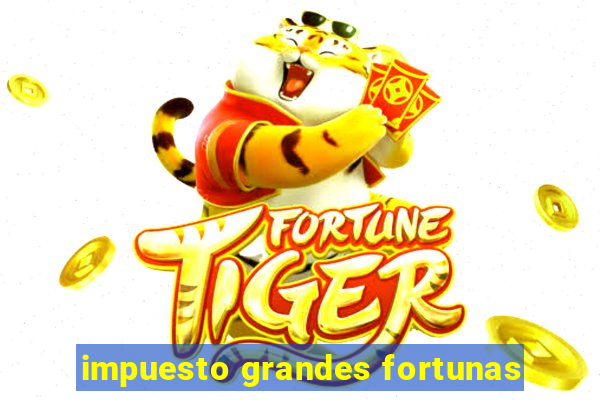 impuesto grandes fortunas