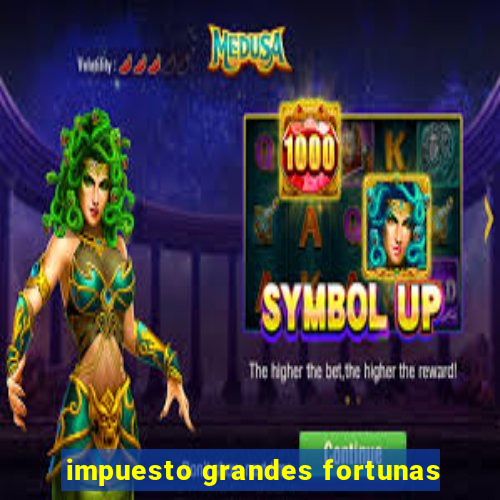 impuesto grandes fortunas