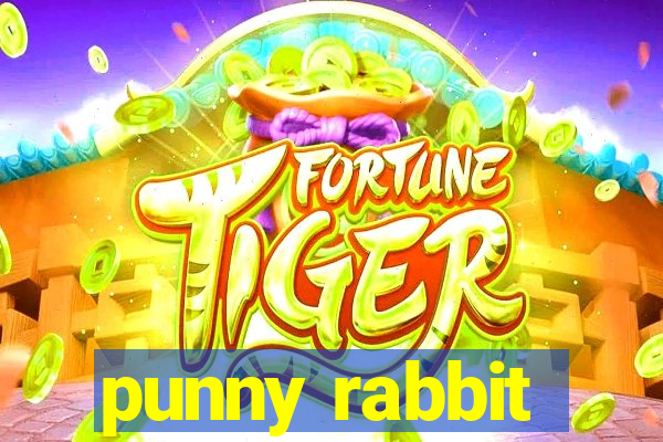 punny rabbit