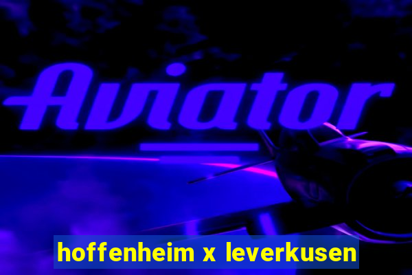 hoffenheim x leverkusen