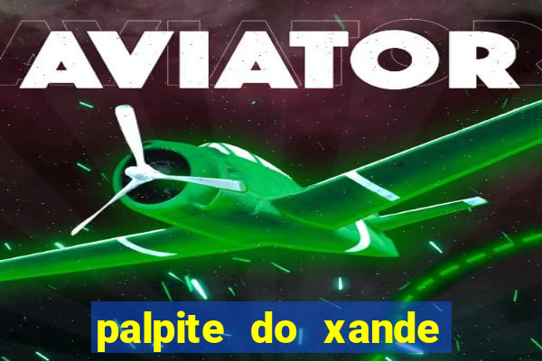 palpite do xande de hoje