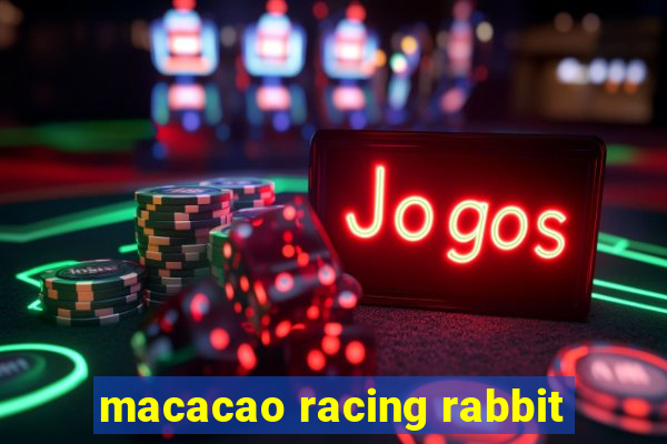 macacao racing rabbit