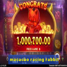 macacao racing rabbit