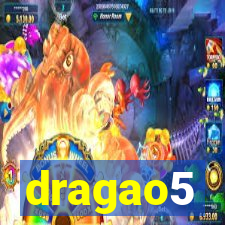 dragao5