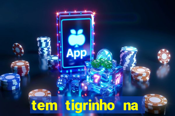 tem tigrinho na bet 365