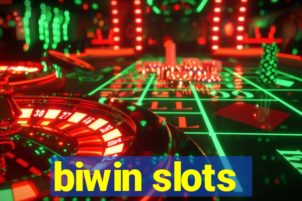 biwin slots