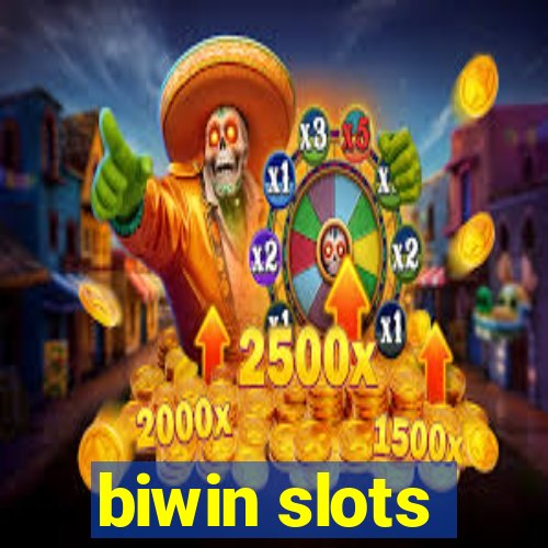 biwin slots