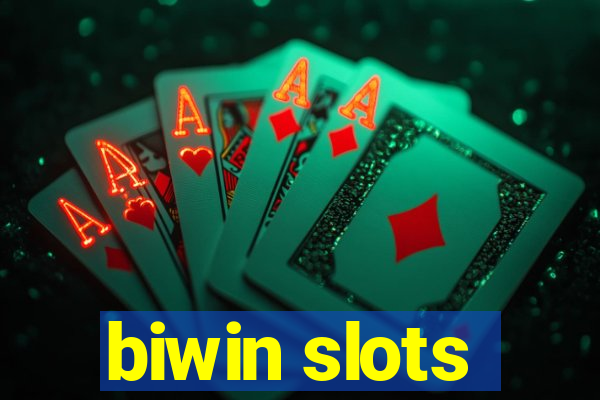 biwin slots