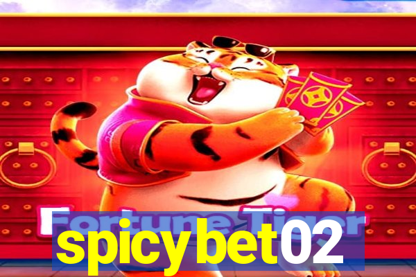 spicybet02