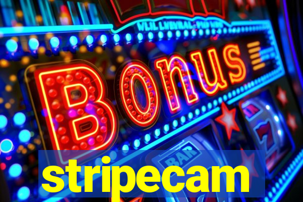 stripecam