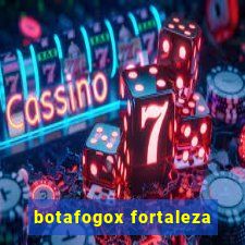 botafogox fortaleza