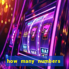 how many numbers in bingo