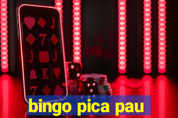 bingo pica pau