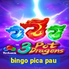 bingo pica pau