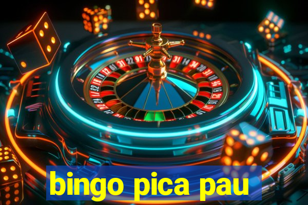 bingo pica pau