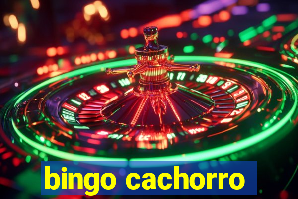 bingo cachorro