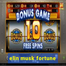 elin musk fortune