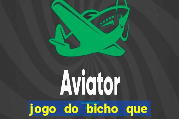 jogo do bicho que da dinheiro