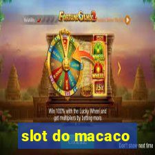 slot do macaco