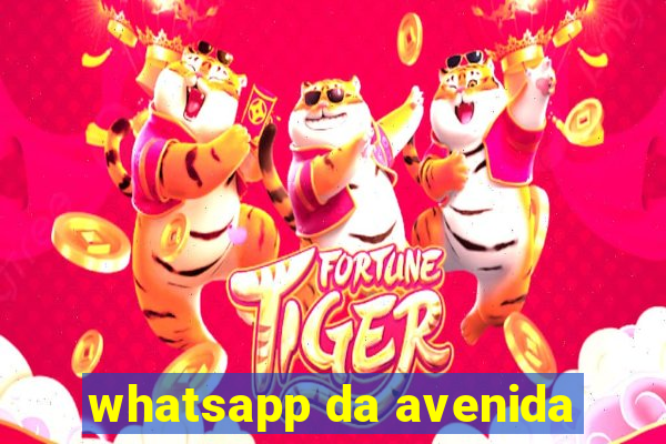 whatsapp da avenida