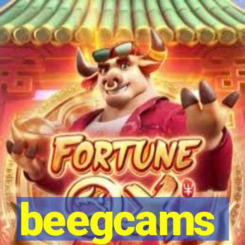 beegcams