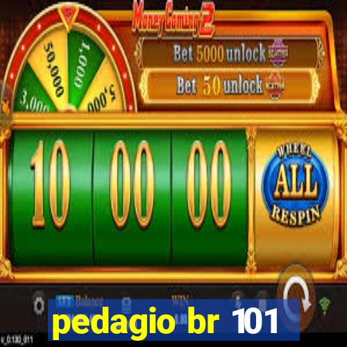 pedagio br 101