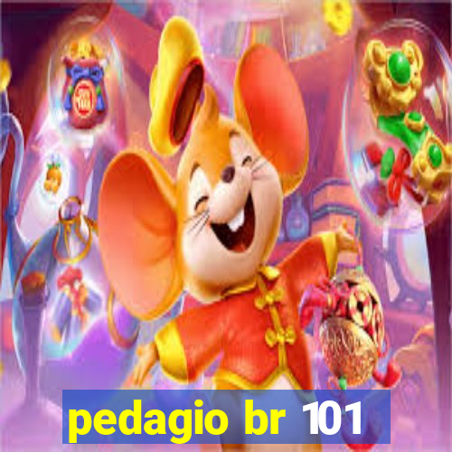 pedagio br 101