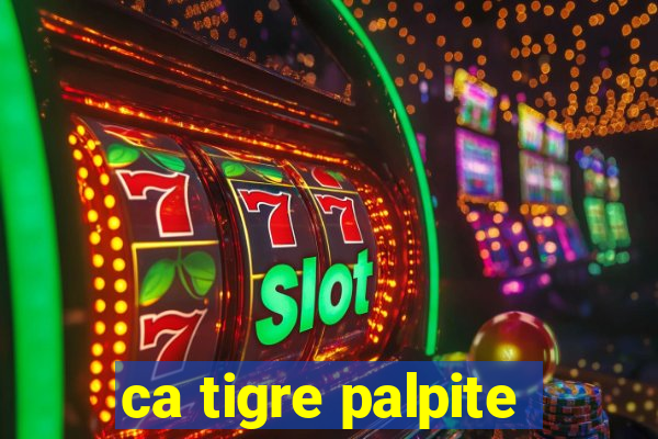 ca tigre palpite