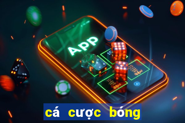 cá cược bóng đá online