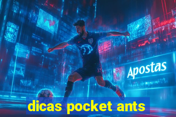 dicas pocket ants