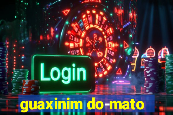 guaxinim do-mato