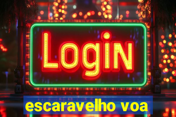 escaravelho voa