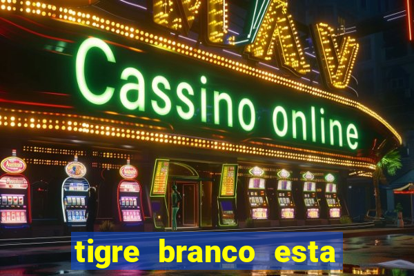 tigre branco esta em extinção