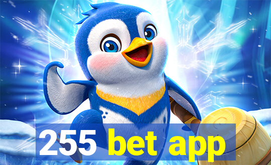 255 bet app