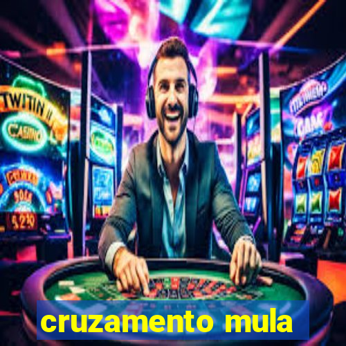 cruzamento mula