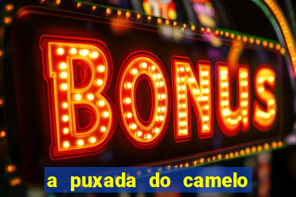 a puxada do camelo no jogo do bicho