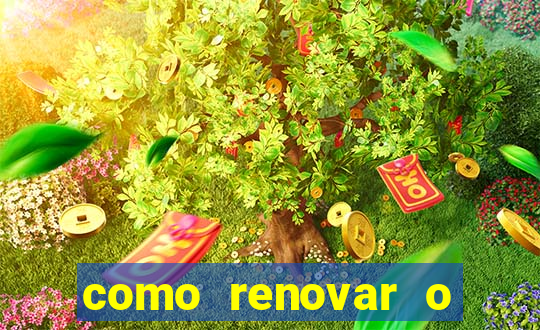 como renovar o plano tim beta