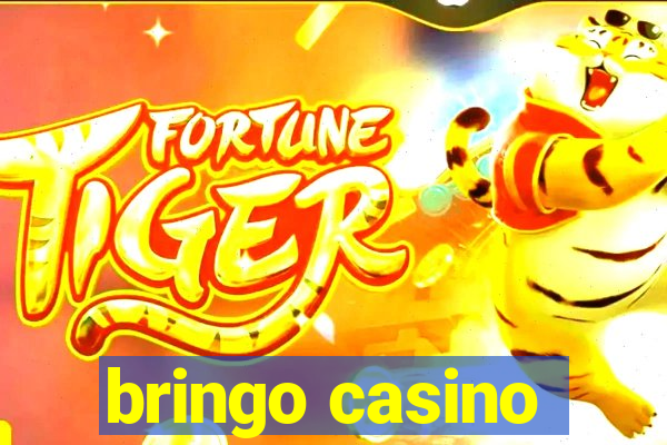 bringo casino