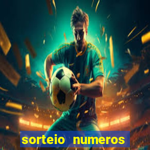 sorteio numeros bingo online