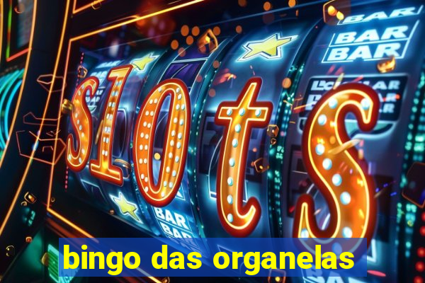 bingo das organelas