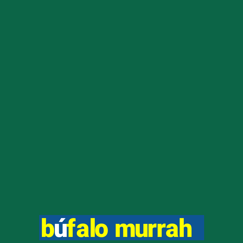 búfalo murrah