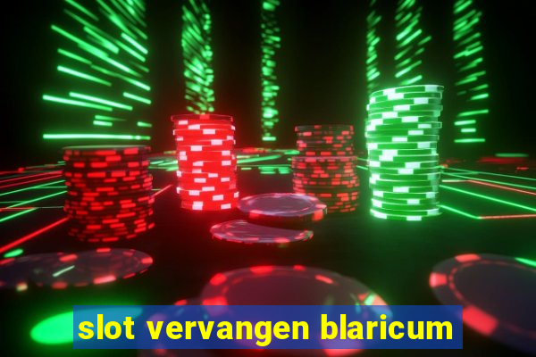 slot vervangen blaricum