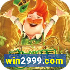 win2999.com