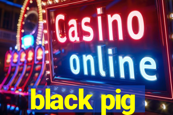 black pig