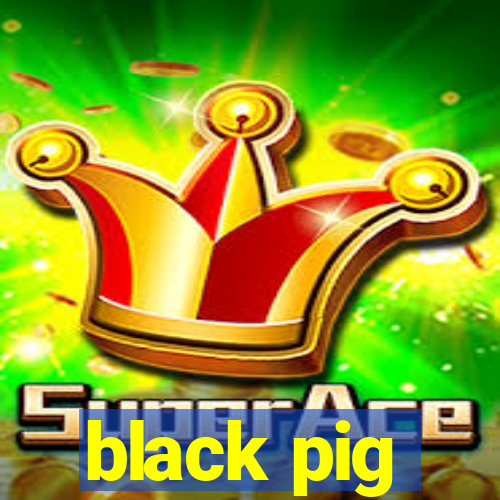 black pig