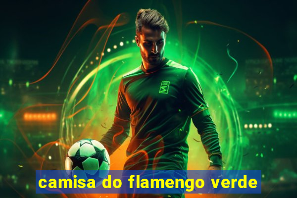 camisa do flamengo verde