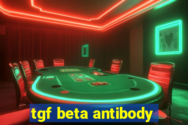 tgf beta antibody